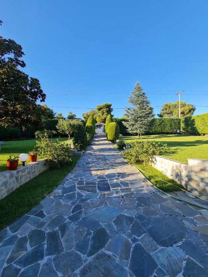 Villa Chryspa Attica *