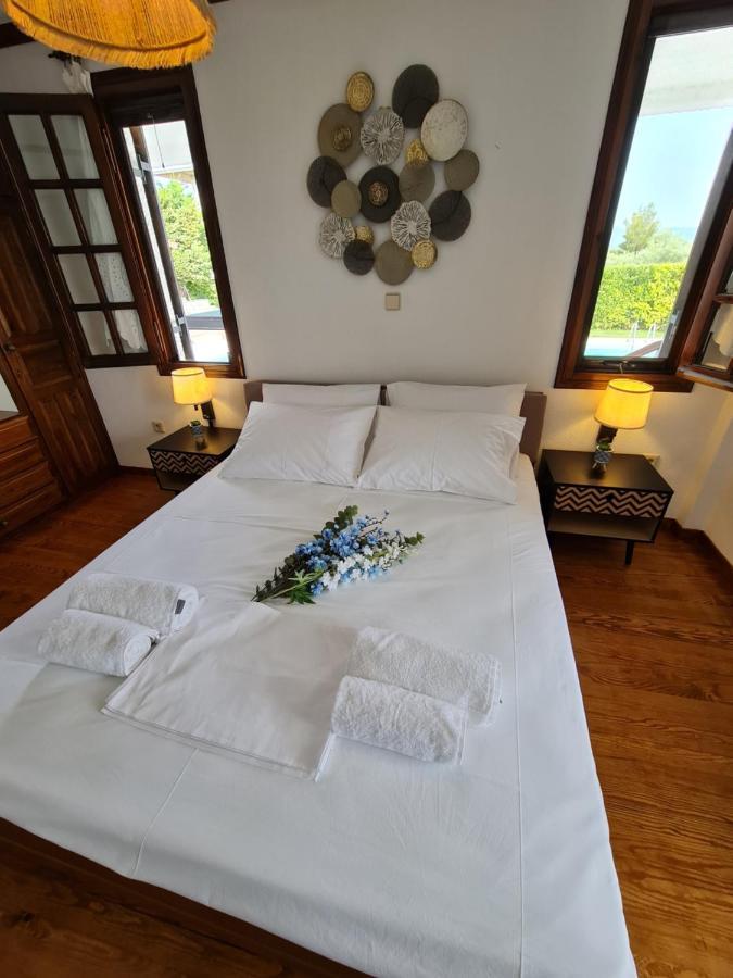 Villa Chryspa Attica *